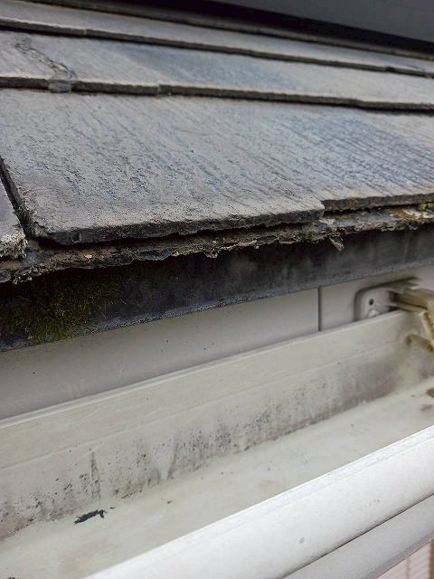 屋根点検もご相談ください